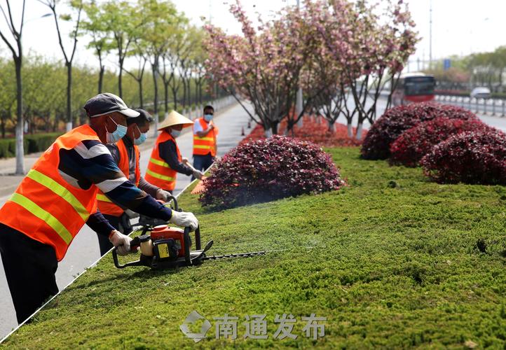 南汇城市道路绿化规范2022