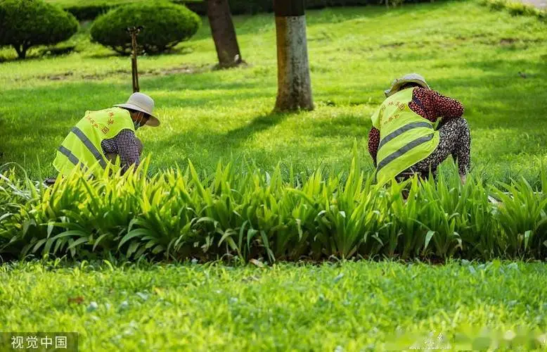 宿州城市绿化护栏规范